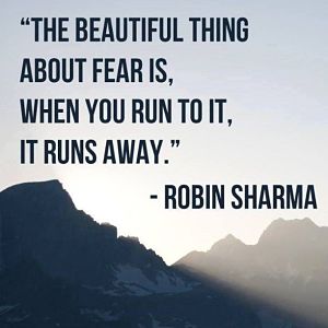 Run into fear_opt
